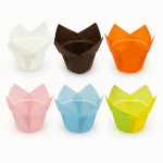 Chese cup tulip