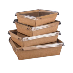 Tavite tuk carton original kraft laminate